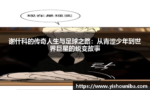 谢什科的传奇人生与足球之路：从青涩少年到世界巨星的蜕变故事